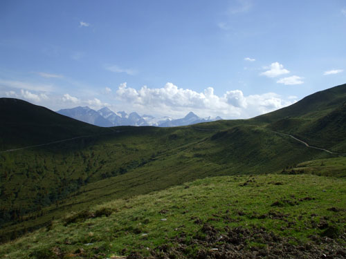 dscf2733.jpg