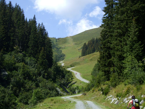 dscf2763.jpg