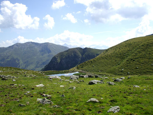 dscf2797.jpg
