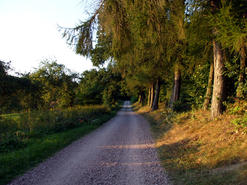 dscf2852.jpg