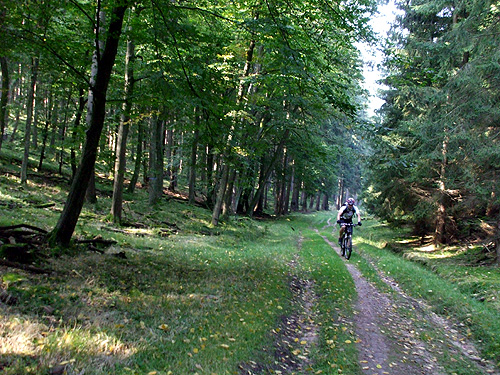 05.jpg