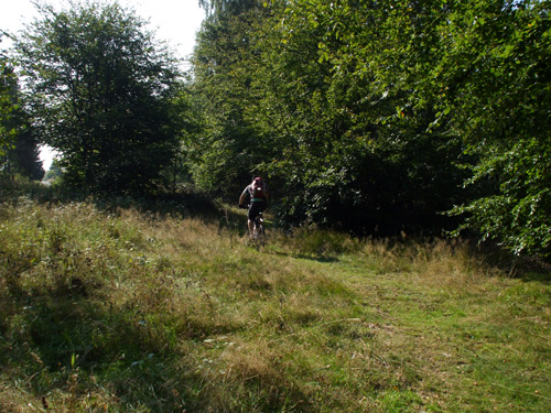 06.jpg