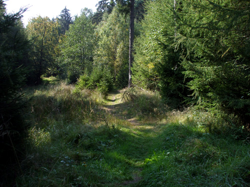 07.jpg