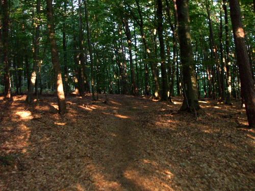 dscf2893.jpg