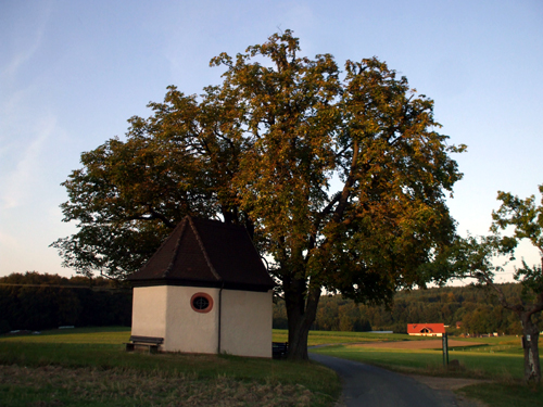 dscf2895.jpg
