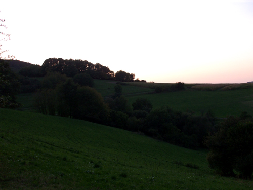dscf2896.jpg