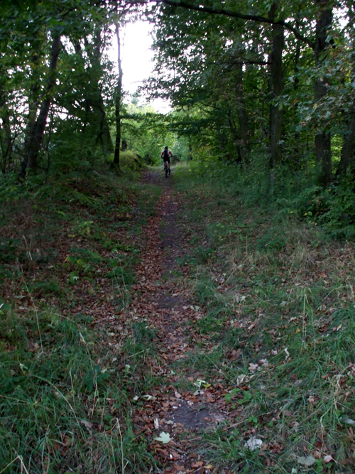 dscf2898.jpg