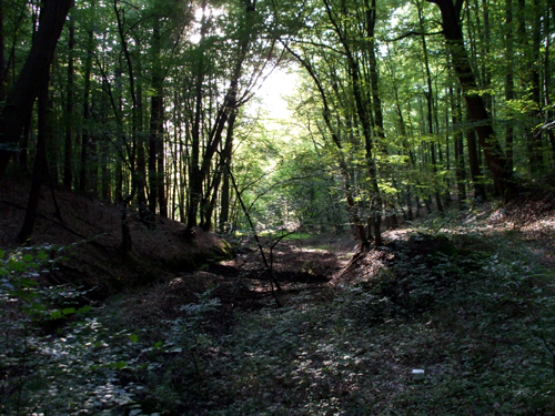 dscf2901.jpg