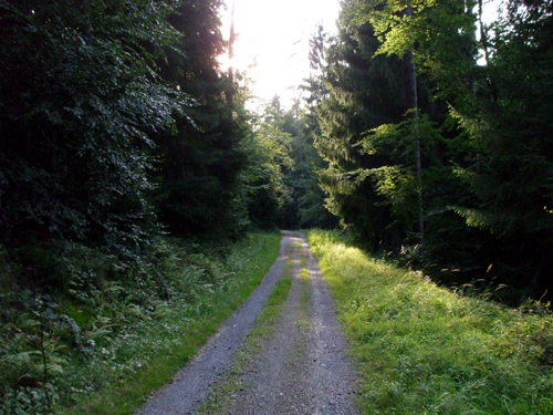 dscf2903.jpg