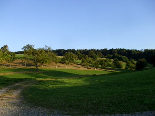 dscf2904.jpg