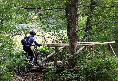 dscf3159.jpg