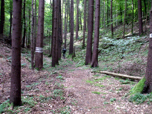 dscf3165.jpg