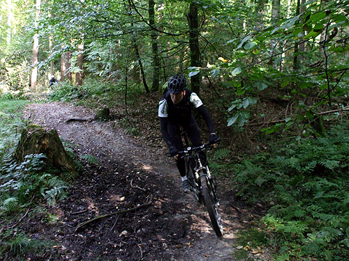 dscf3170.jpg