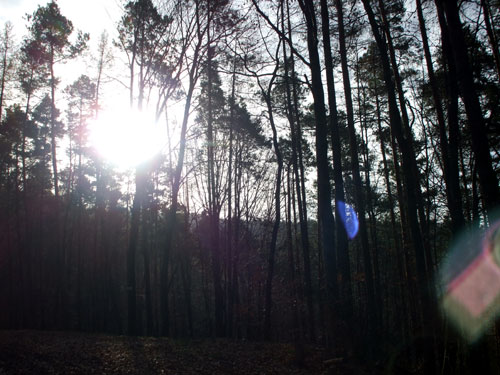 dscf3335.jpg
