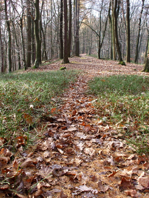 dscf3338.jpg
