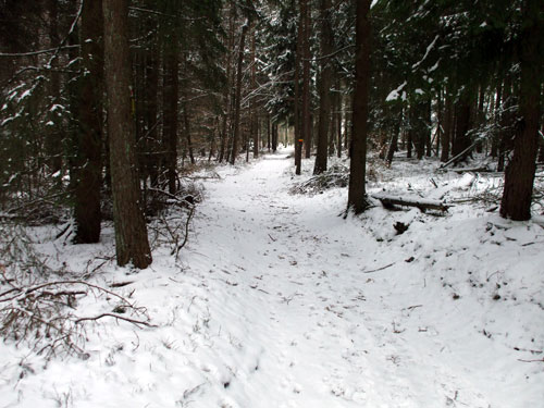 dscf3428.jpg