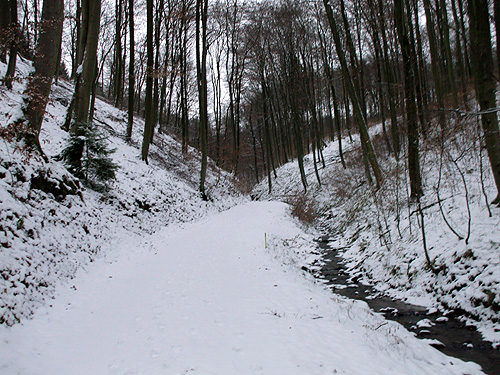dscf3434.jpg