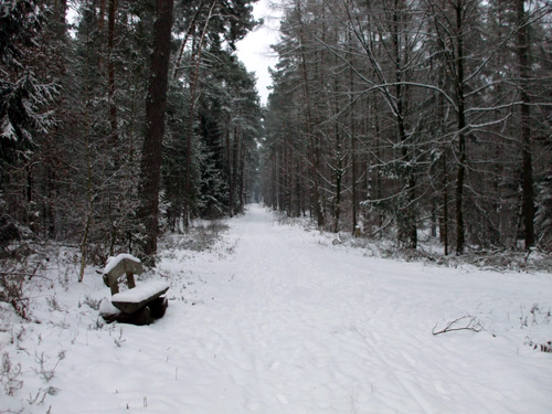 dscf3445.jpg