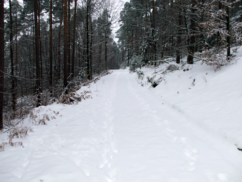 dscf3451.jpg