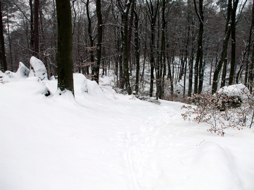 dscf3455.jpg