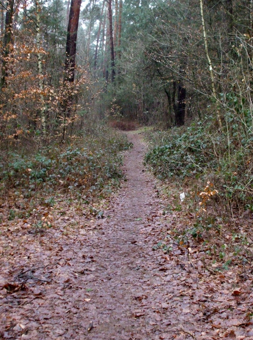 dscf3464.jpg