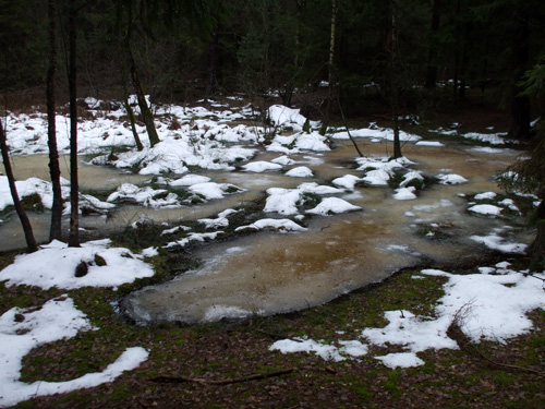 dscf3468.jpg