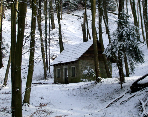 03.jpg