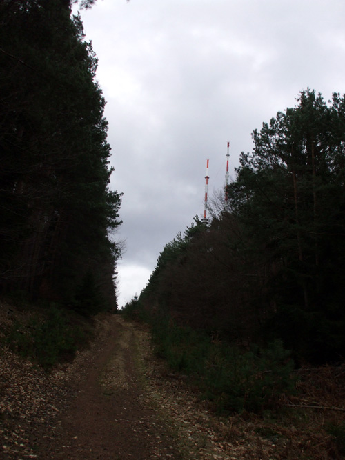 dscf3531.jpg