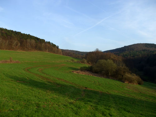 dscf3577.jpg