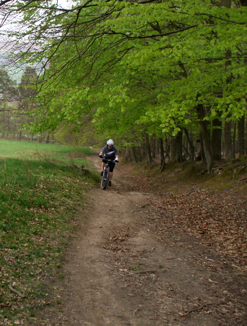 dscf3638.jpg