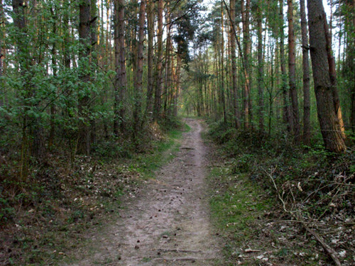 dscf3642.jpg