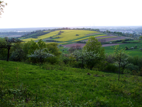 dscf3658.jpg