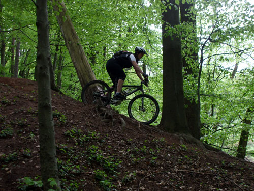 dscf3705.jpg