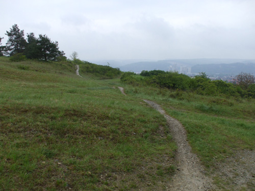 dscf3721.jpg
