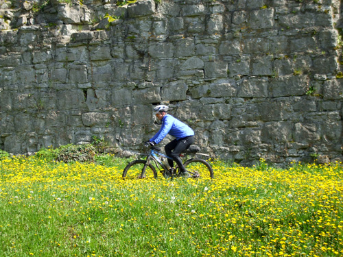dscf3734.jpg