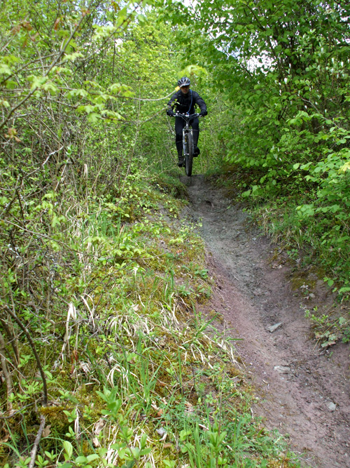 dscf3740.jpg