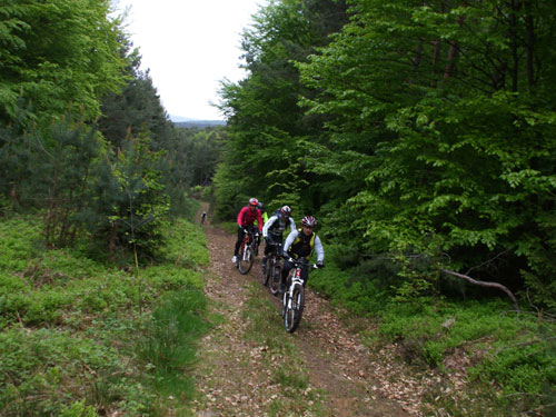 dscf3756.jpg