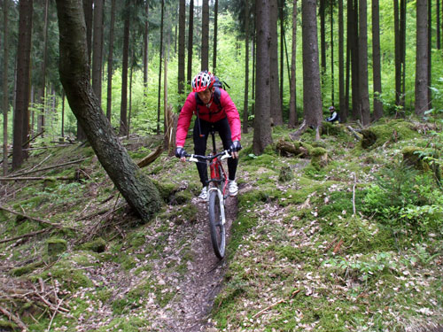 dscf3774.jpg