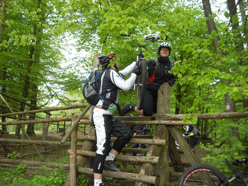 spessartcros021.jpg