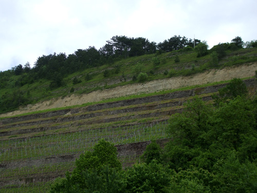 dscf3862.jpg