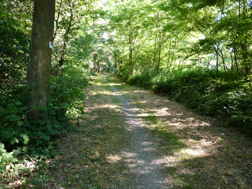p1000345.jpg