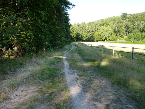 p1000346.jpg
