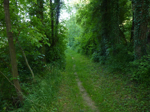 p1000360.jpg