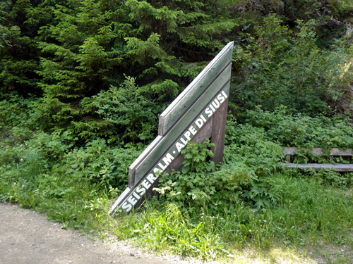 p1000414.jpg