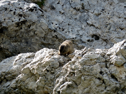 p1000449.jpg