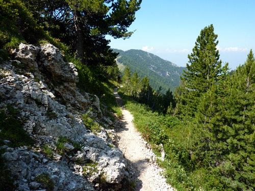 p1000498.jpg