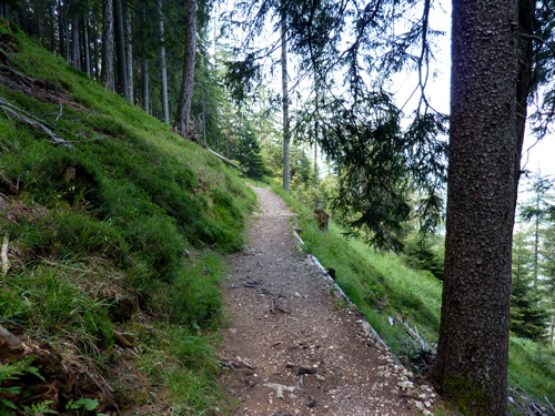 p1000505.jpg
