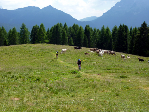 p1000546.jpg