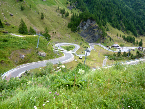 p1000568.jpg
