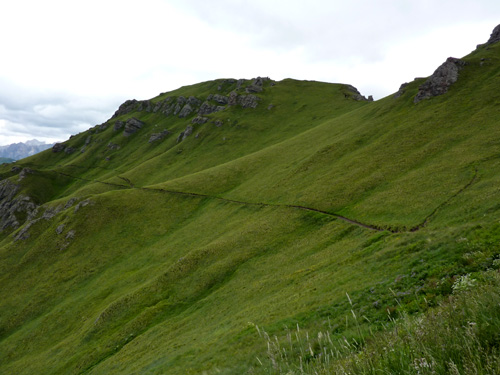 p1000595.jpg